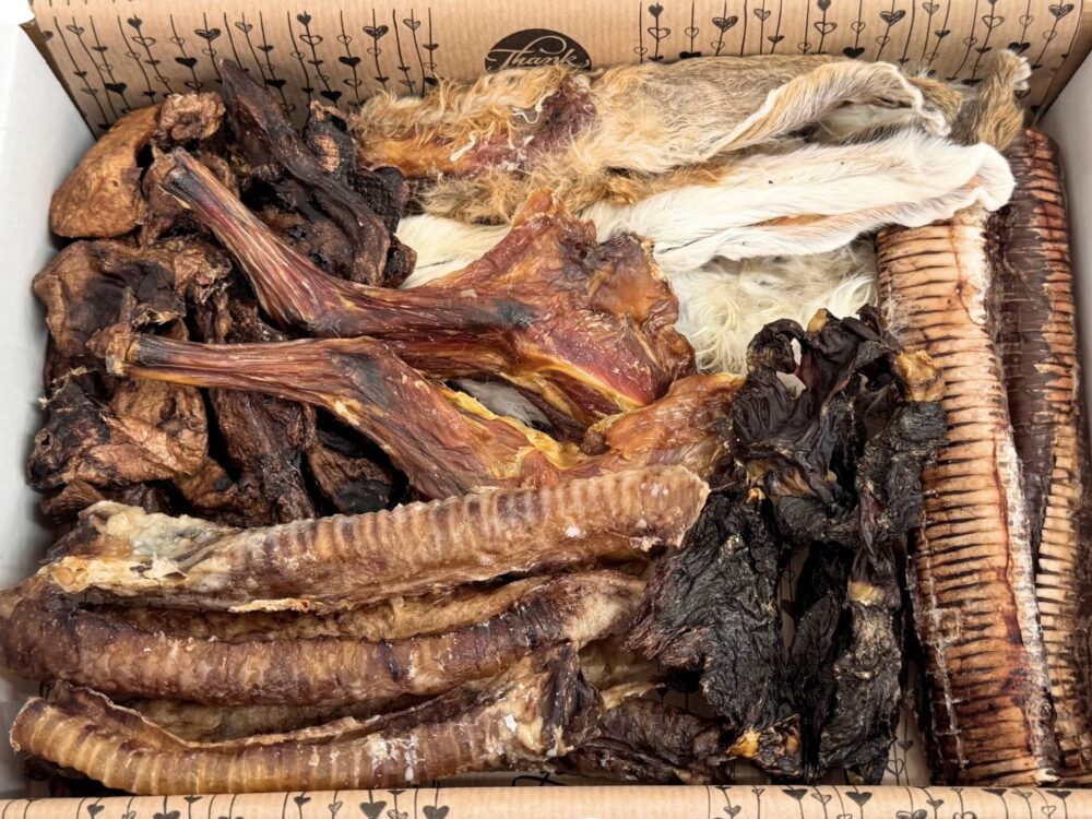 Whizzopet Halloween Box- jutalomfalat kutyának.