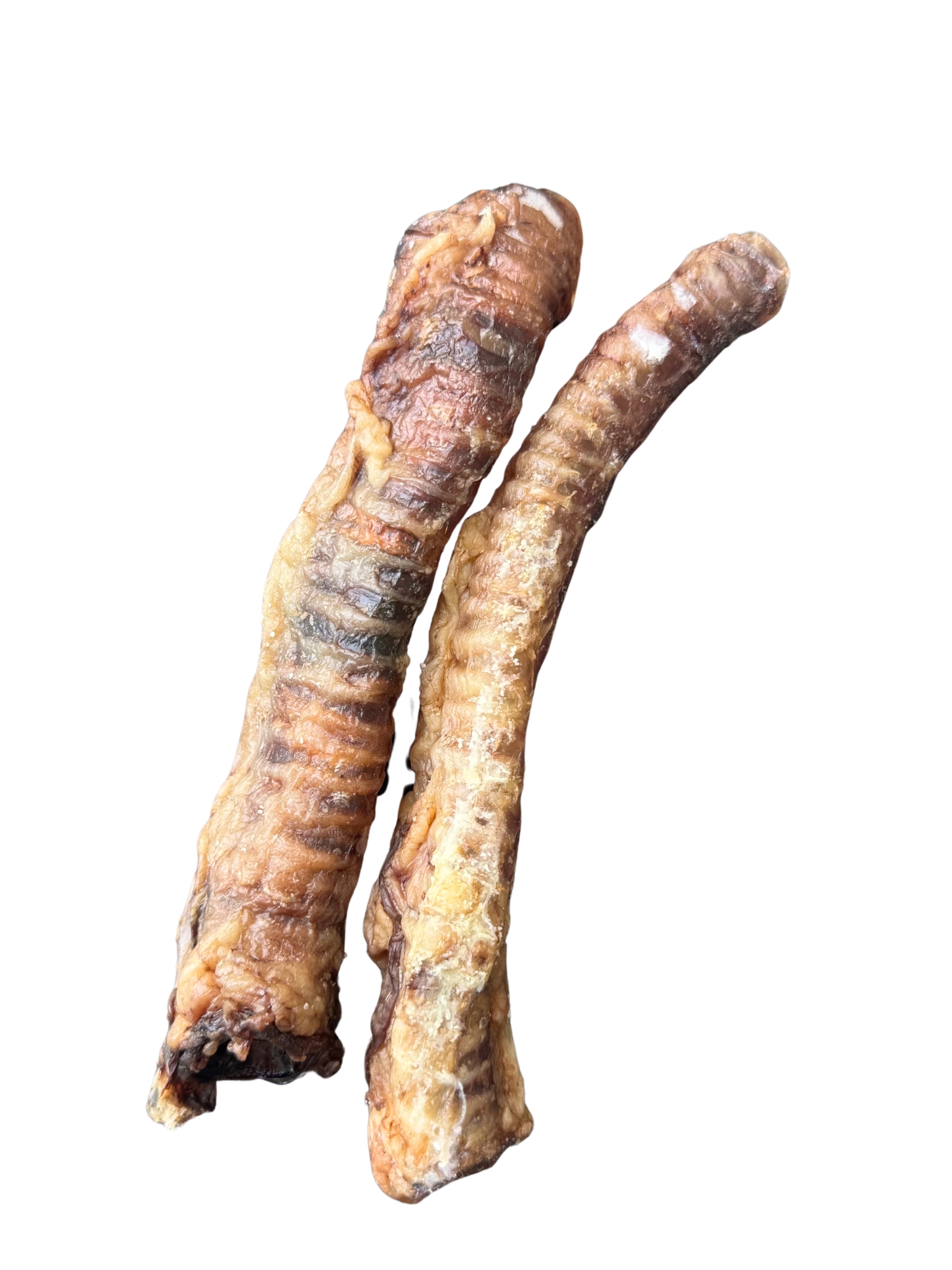 Szárított báránygége jutalomfalat kutyának – Obrázok 2