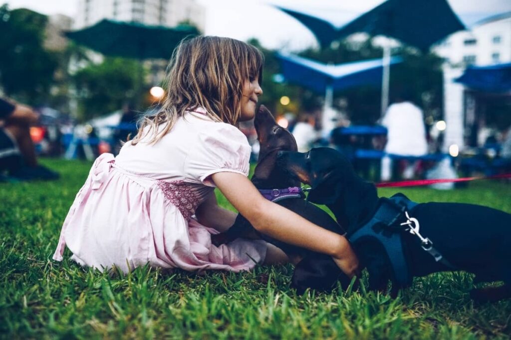 Kislány a fűben játszik két tacskóval.