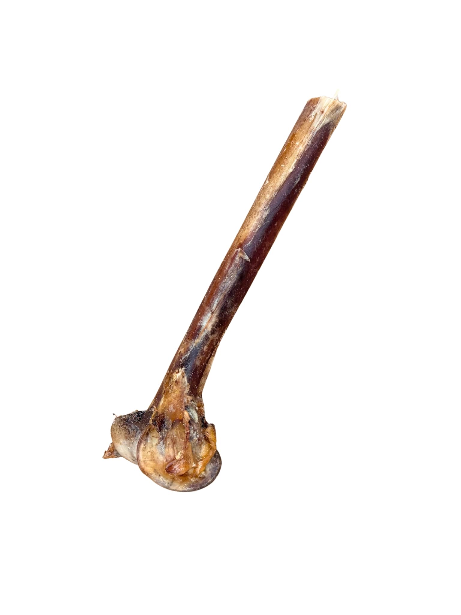 Fél, velős, szárított strucc lábszárcsont kutyának, 100% természetes rágócsont.